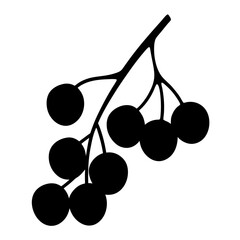mountain ash berries fruit minimalist silhouette vector icon - for graphic design projects mountain ash berries, Modern Artwork.