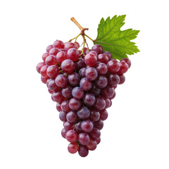 Fototapeta premium bunch of grapesFresh green grape bunch with leaves isolated on white background