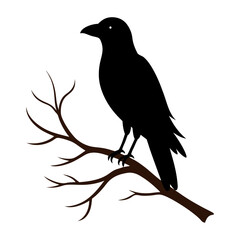 crow Silhouette Stock Illustrations