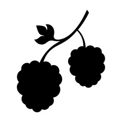 blackberries fruit minimalist silhouette vector icon - for graphic design projects blackberries, Modern Artwork.