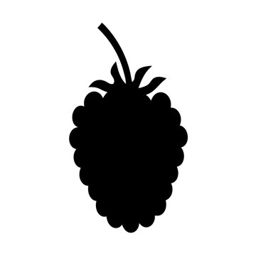 recommend clip art: boysenberry fruit minimalist silhouette vector icon - for graphic design projects boysenberry, Modern Artwork.