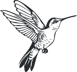 Obraz premium A detailed illustration of a hummingbird in flight showcasing its vibrant wings and delicate features.