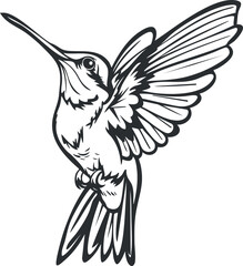 Fototapeta premium Illustration of a hummingbird in flight showcasing its detailed wings and body features.