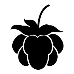 cloudberry fruit minimalist silhouette vector icon - for graphic design projects cloudberry, Modern Artwork.