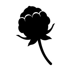 cloudberry fruit minimalist silhouette vector icon - for graphic design projects cloudberry, Modern Artwork.