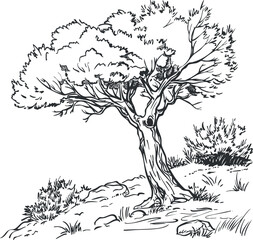 A detailed black and white sketch of a tree in a natural landscape setting.