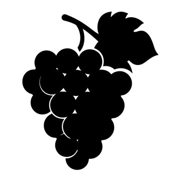 recommend clip art: grape fruit minimalist silhouette vector icon - for graphic design projects grape, Modern Artwork.