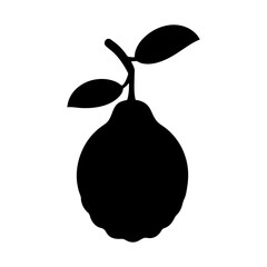 kaffir lime fruit minimalist silhouette vector icon - for graphic design projects kaffir lime, Modern Artwork.