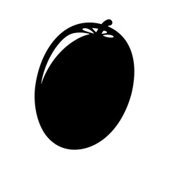 kiwi fruit minimalist silhouette vector icon - for graphic design projects kiwi, Modern Artwork.