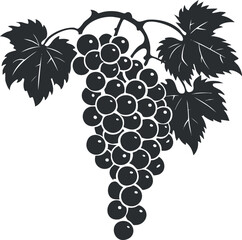 Obraz premium A stylized black silhouette of a bunch of grapes with leaves on a vine