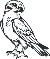Fototapeta premium A detailed illustration of a falcon perched elegantly, showcasing its feathers and sharp features.