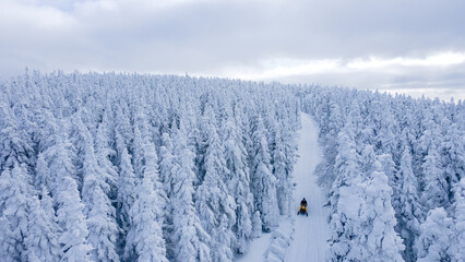 Aerial view of a snowmobile on a trail through the snow-covered boreal forest forming snow ghosts on a cold winter day