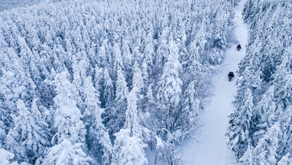 Aerial view of snowmobiles on a trail through the snow-covered boreal forest forming snow ghosts on a cold winter day