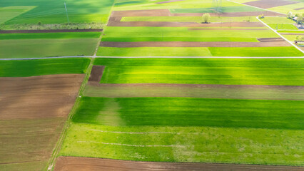 Aerial view of vibrant green and brown agricultural fields under bright sunlight, showcasing rural land use patterns. Ideal for environmental and agricultural themes. © daily_creativity