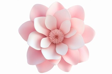 Pink Flower Blossom Petal