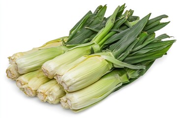 Obraz premium Corn on the Cob Still Life