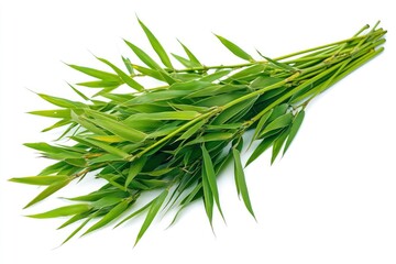 Fototapeta premium Green Bamboo Stalks and Leaves