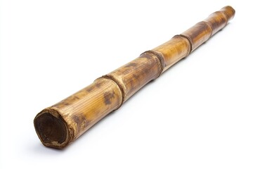 Bamboo Stalk on White Background