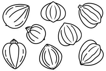 Hazel Nut Collection Vector Graphics