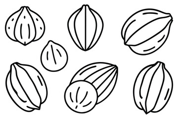 Detailed Hazel Nut Design Collection