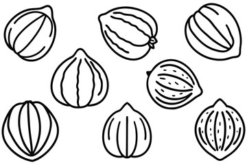 Hand Drawn Hazel Nut Icon Set