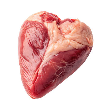 Raw chicken heart png chicken heart png organ meat png raw offal png cooking ingredient png transparent background image