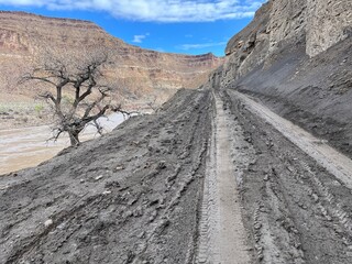 Muddy Road in the Desert