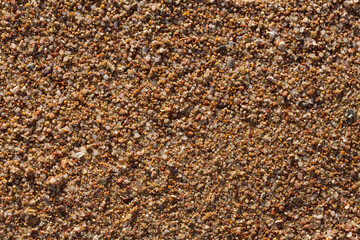 The coastline of the Red Sea. Sand, pebbles, corals, fossils. Background with a marine theme.