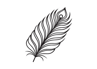 Obraz premium Peacock Feather silhouette vector