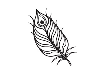 Obraz premium Peacock Feather silhouette vector
