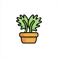 plant in pot