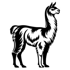 Elegant Black and White Llama Illustration with Intricate Fur Details Standing Proudly