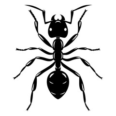 A minimalist black and white vector illustration of an ant in detail