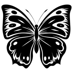 Symmetrical black and white butterfly with intricate wing designs and antennae