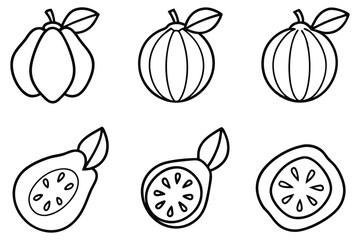 different jaca fruit types