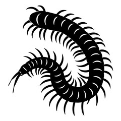 Black centipede illustration on a white background with many legs