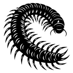 Black and White Centipede Illustration Crawling with Many Legs and Body Segments