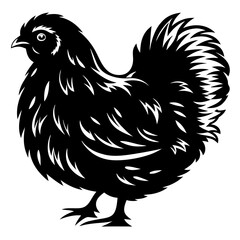 Stylized Black and White Illustration of a Silkie Chicken with Fluffy Feathers
