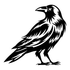 Stylized black and white crow illustration with striking feather details and shadows