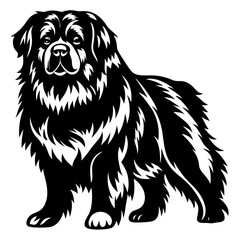 Majestic Newfoundland Dog Illustration Standing Proudly in a Bold Black Silhouette