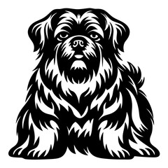 Monochrome Vector Image of a Shih Tzu Dog with Abstract Fur Patterns