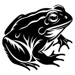Striking Black and White Stylized Frog Illustration with Intricate Details