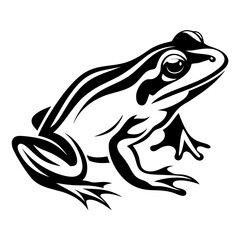 Striking black and white frog vector illustration with bold outlines design