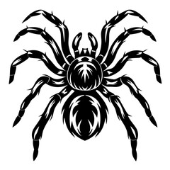 Dramatic Black and White Tattoo Style Spider with Stylized Legs and Body
