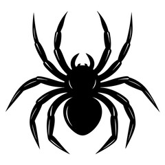 A bold black vector spider illustration with intricate legs and body