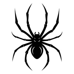 Black silhouette of a sinister spider with intricate leg details on white