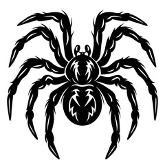 Creepy Crawly Silhouette of a Large Spider with Striking Details