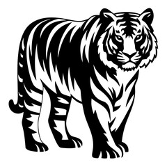 Striking black and white tiger illustration with bold stripes and detailed face