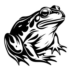 Stylized graphic illustration of a frog in black and white vector format