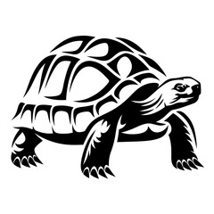 Stylish black and white tortoise design with tribal art shell pattern
